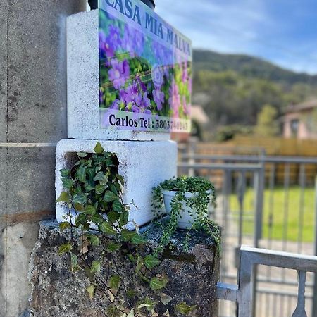 Casa Mia Malva Apartamento Riccò del Golfo di Spezia Exterior foto