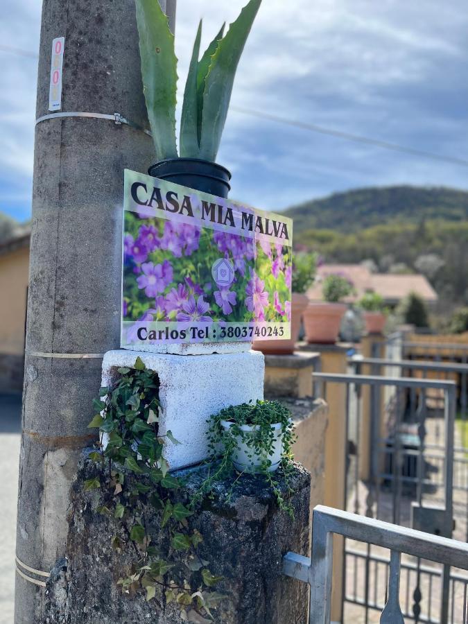 Casa Mia Malva Apartamento Riccò del Golfo di Spezia Exterior foto
