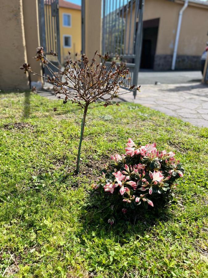 Casa Mia Malva Apartamento Riccò del Golfo di Spezia Exterior foto